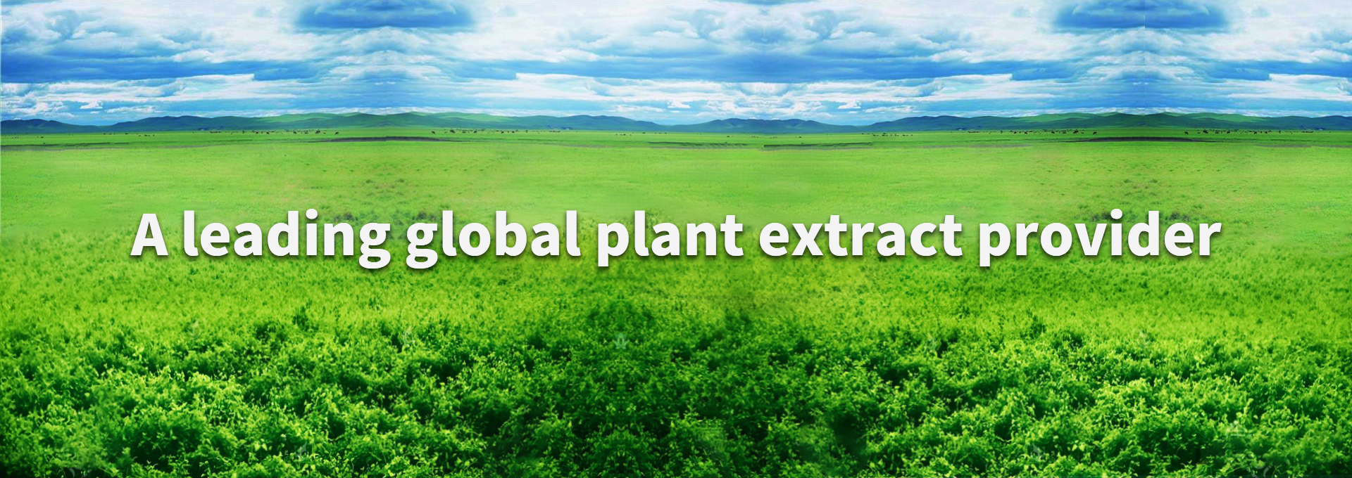 首页-人生就是博手机版