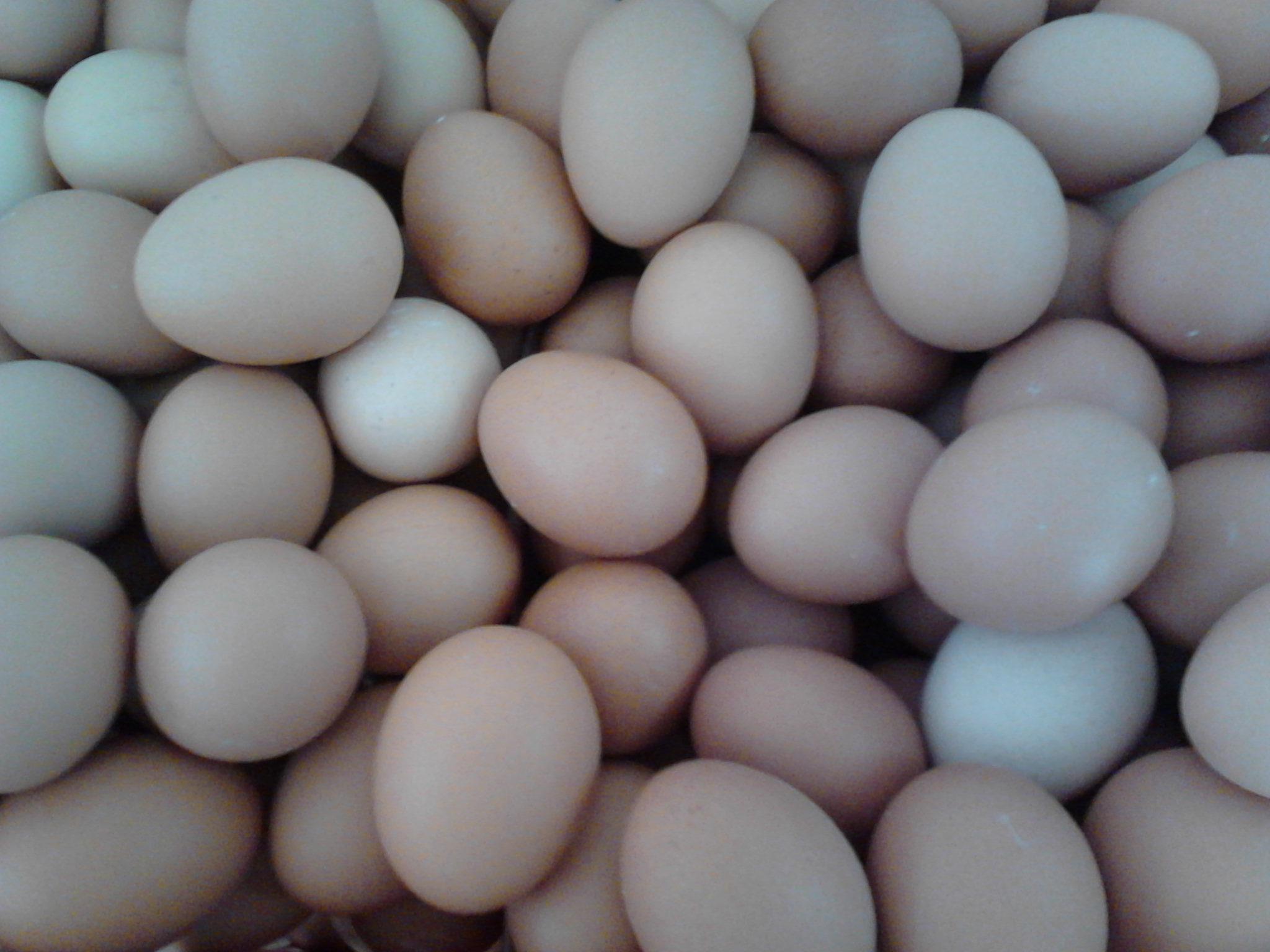 首页-人生就是博手机版