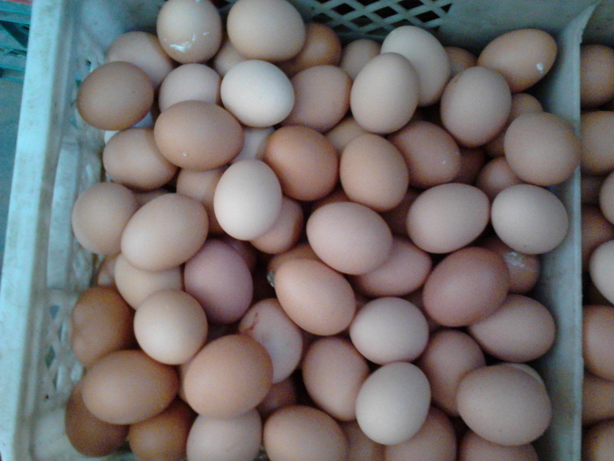 首页-人生就是博手机版