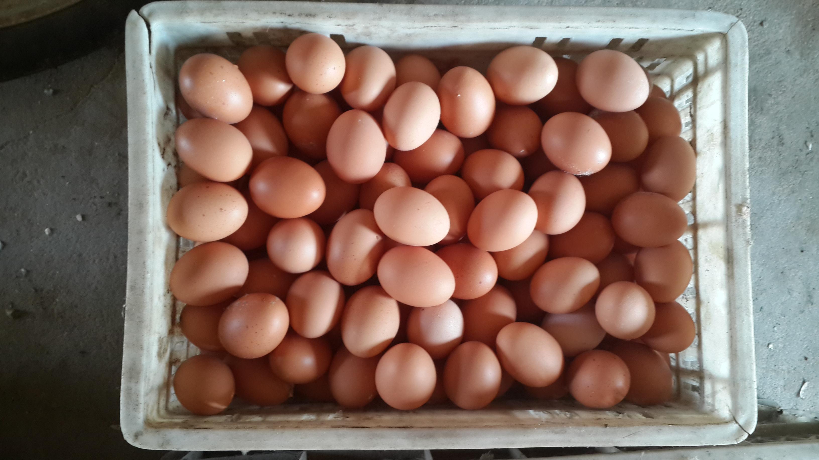 首页-人生就是博手机版