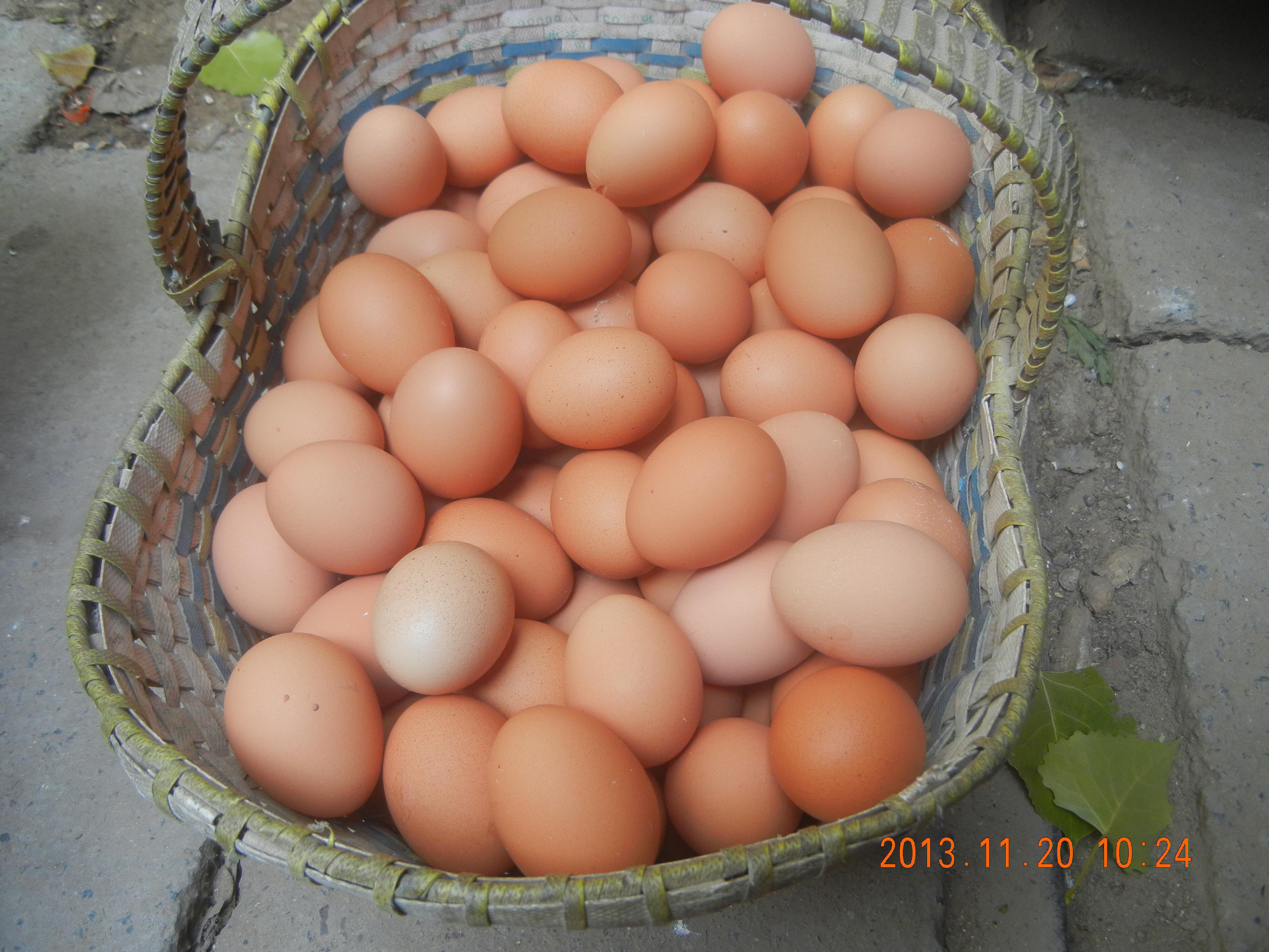 首页-人生就是博手机版