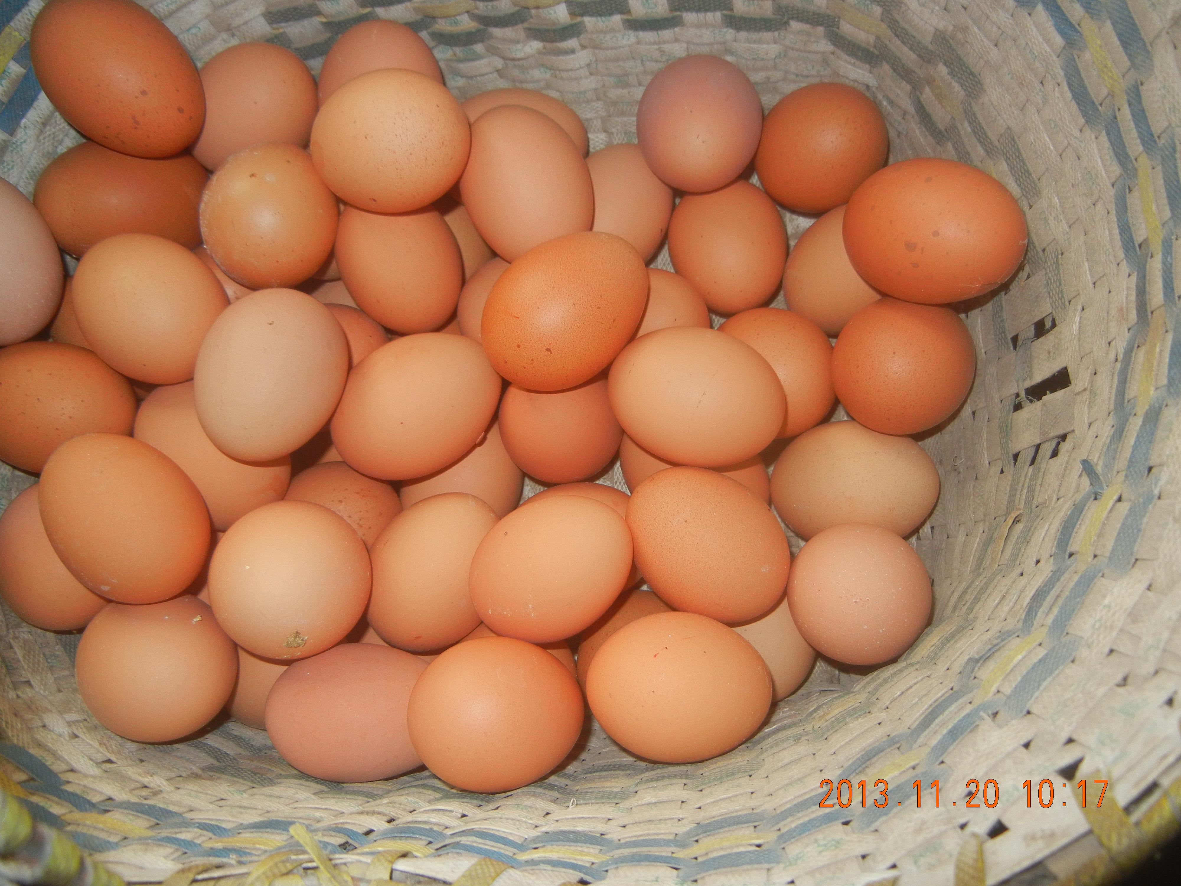 首页-人生就是博手机版