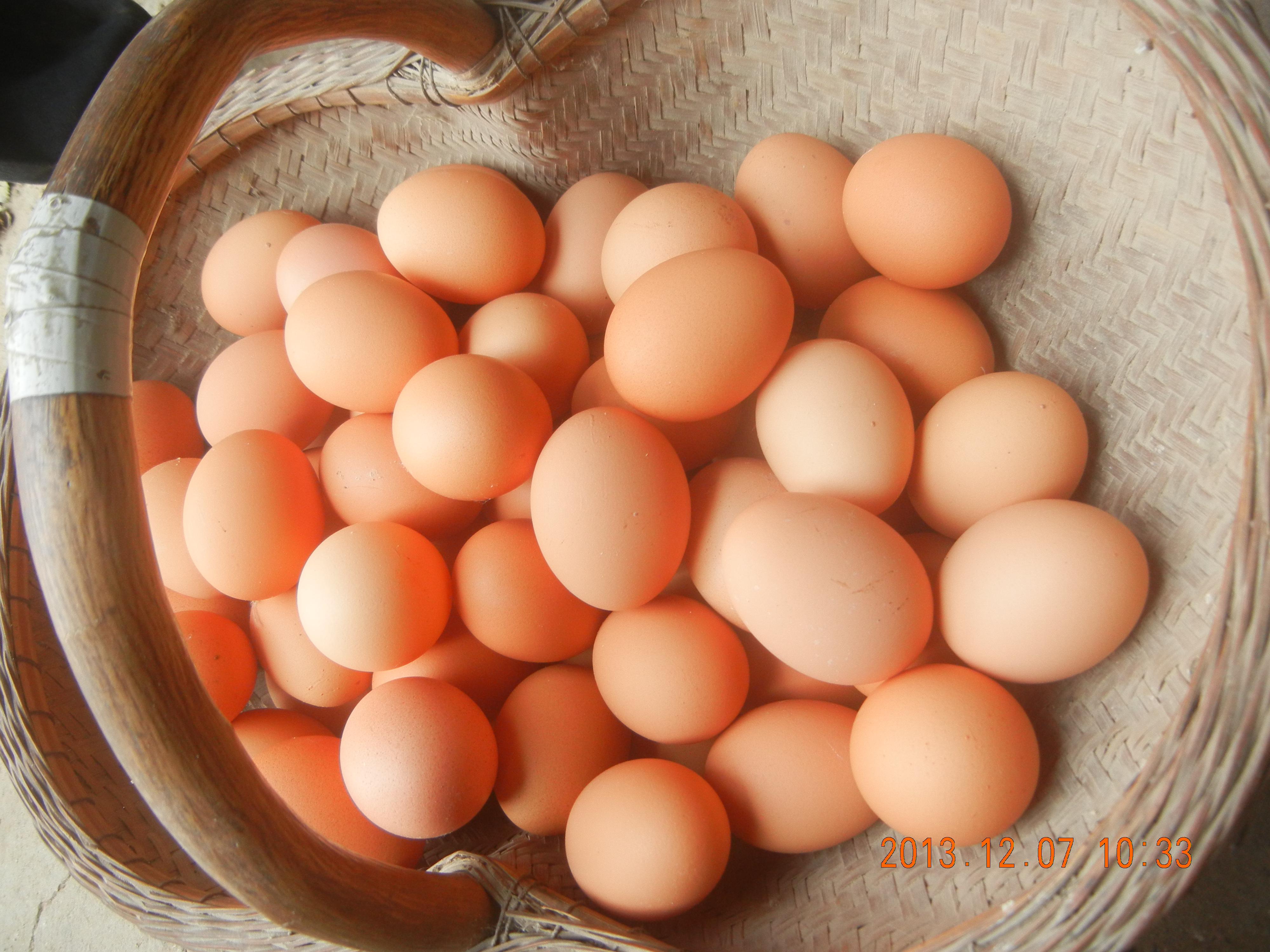 首页-人生就是博手机版