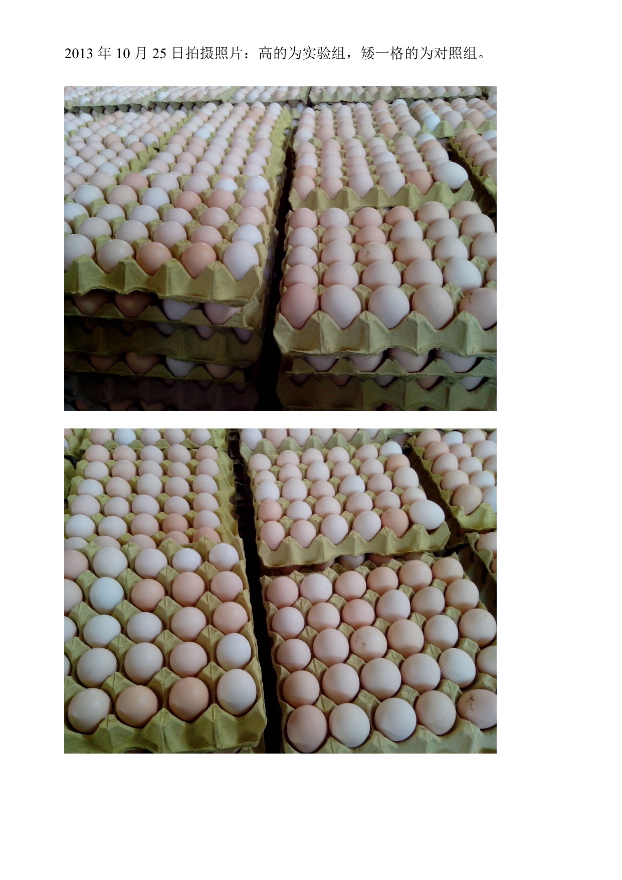 首页-人生就是博手机版