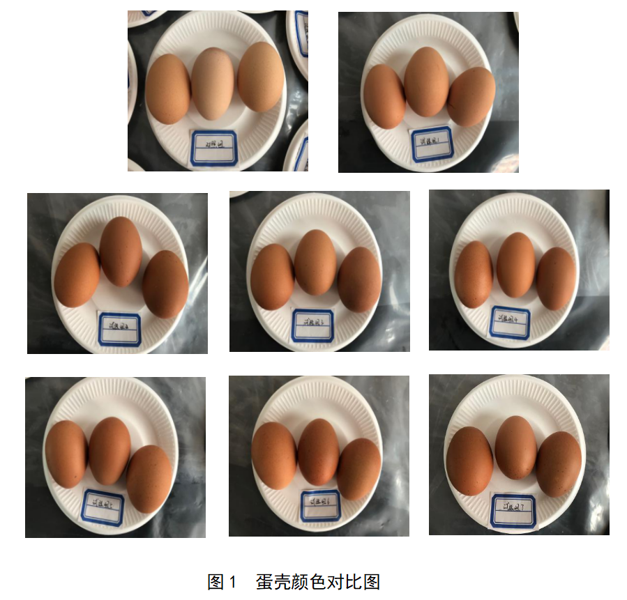 首页-人生就是博手机版