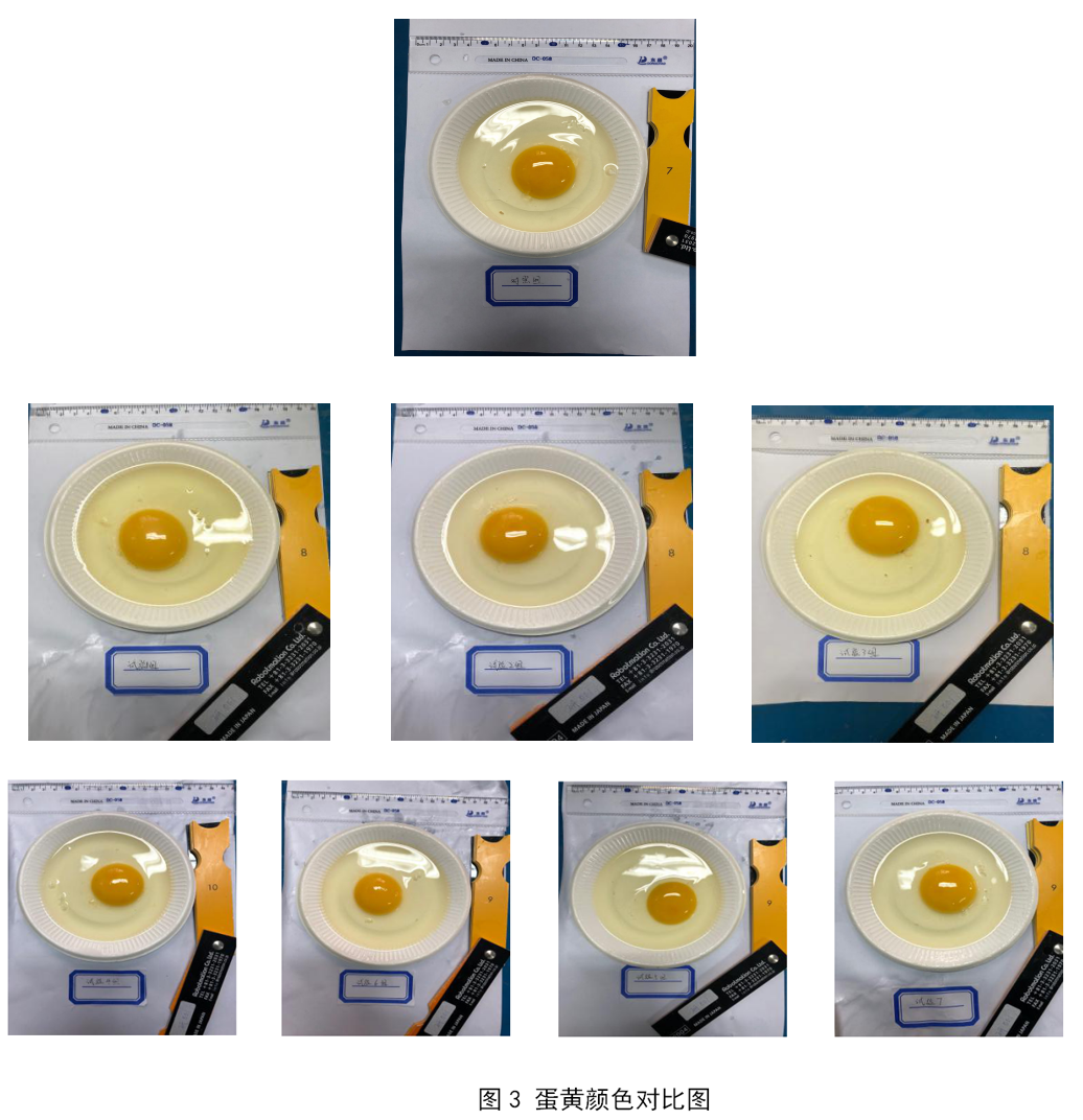 首页-人生就是博手机版