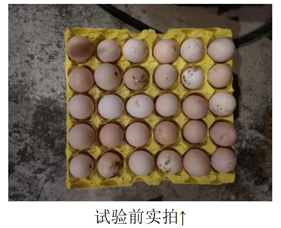 首页-人生就是博手机版