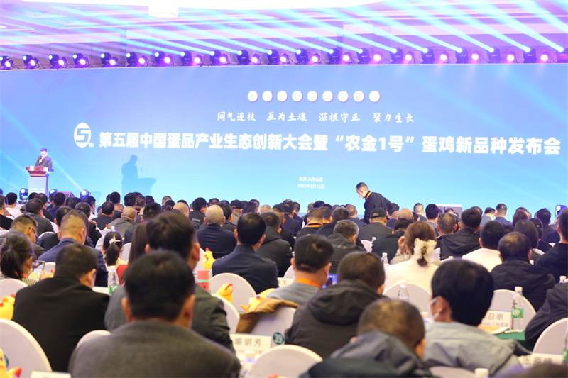 首页-人生就是博手机版