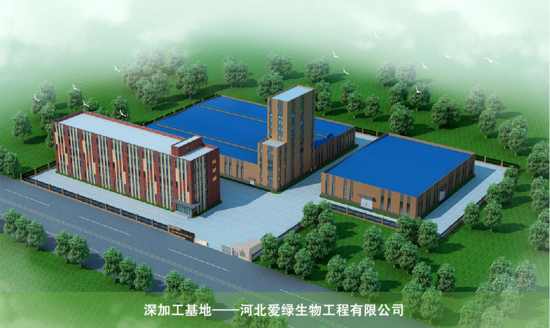 首页-人生就是博手机版