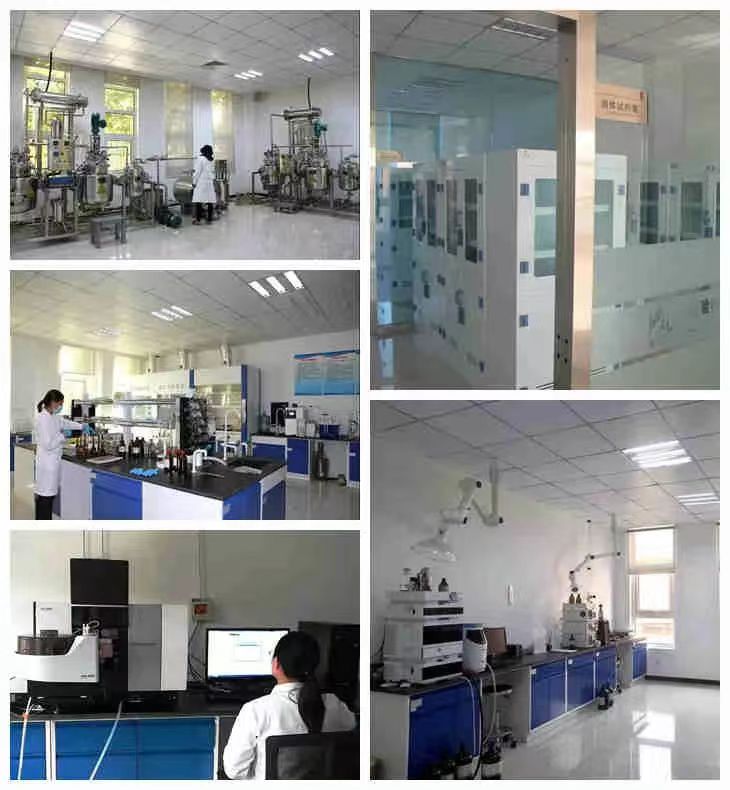 首页-人生就是博手机版