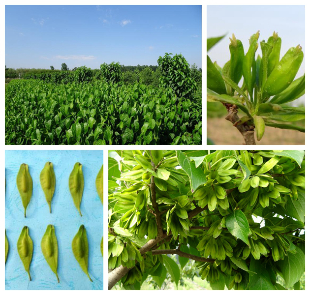 首页-人生就是博手机版